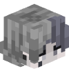 Denzenix
